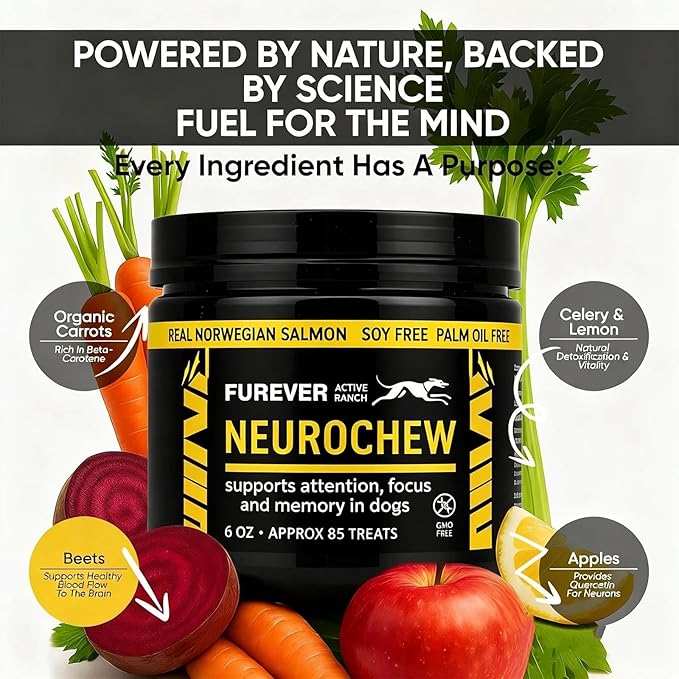 Furever Active Pet Neuro Chewing, Formulated with Organic. Support Brain Health in Dogs, Memory and Alertness, Overall Cognitive Performance, Brain Cell Repair, 60 Chews(1pc)