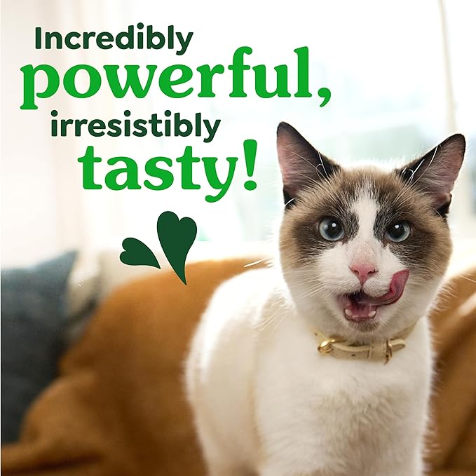 Greenies Cat Treats, Feline Veterinarian-Recommended Adult Natural Dental Cat Treats, Savory Salmon Flavor, 21 oz. Tub