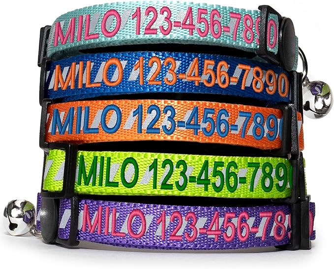Pawtitas Personalized Orange Reflective Cat Collar – Adjustable Custom Collar with Safety Buckle, Removable Bell, and Engraved Name & Phone Number for Kittens and Adult Cats