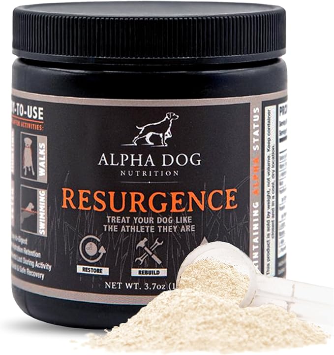 Alpha Dog Nutrition Electrolytes for Dogs - PhD Formulated Hydration Supplement with Beef Flavor for Active Canines - Versatile Powder for Dehydration Recovery and Stamina