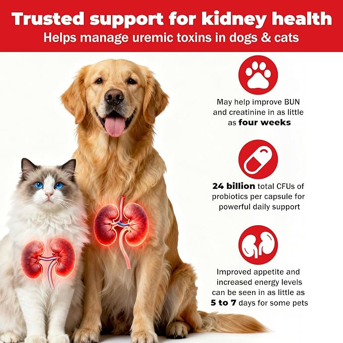 Kidney Health Supplement for Dogs & Cats | Probiotic Pet Wellbeing | Kidney Supplement | Help Support Kidney Function & Manage Renal Toxins | Renal Care Supplement Capsule 120ct