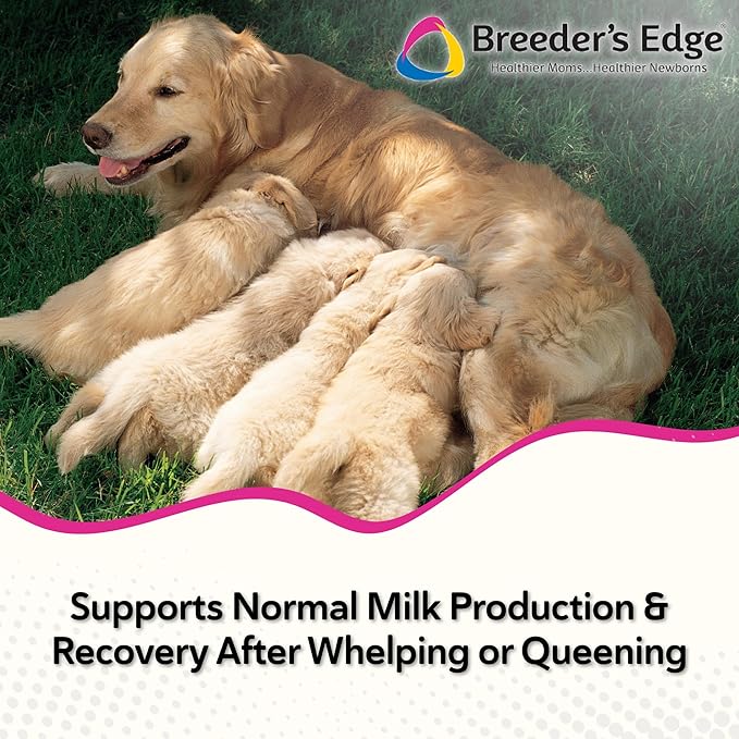 Breeder's Edge Oxy Momma Soft Chews, Postnatal Vitamin Supplement for Lactating Dogs and Cats, Supports Recovery, Hormones, and Next Pregnancy - for Small Dogs & Cats, 40ct Soft Chews