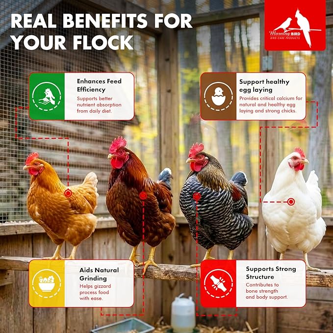 Morning Bird Poultry Grit for Birds 1.5 lbs - Mineral-Rich Supplement for Digestion & Calcium Support - Natural Poultry Feed Additive and Chicken Grit for Healthy Birds
