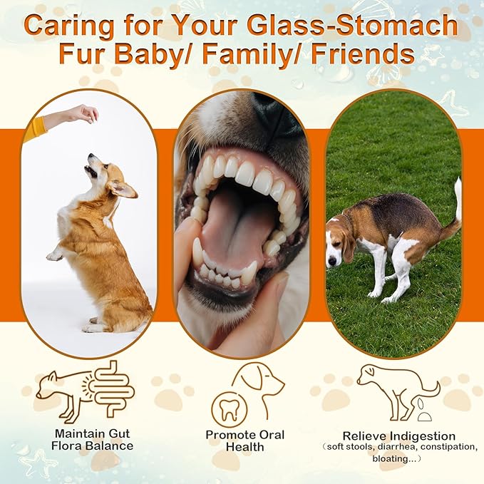 Dog Probiotic Soft Chews 200, Support Gut Health, Immunity, Diarrhea Gas Relief Digestive Balance, Relieve Itchy Skin, with Pumpkin Blueberry, 6 Digestive Enzymes, 4 Prebiotics, 6 Probiotics for Dogs