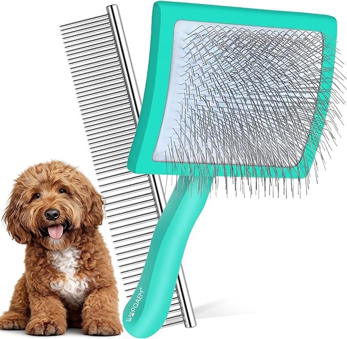 Slicker Brush for Dogs, Large Dog Brush to Long Haired Dogs for Poodles Doodles Goldendoodles Bernedoodles, Long Pin Grooming Kits to Dematting & Reducing Tangles and Fluff, Green