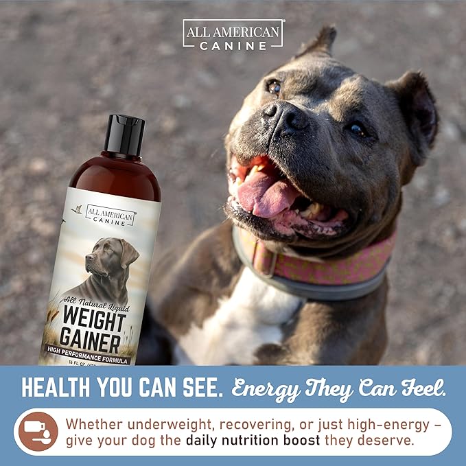 All American Canine Dog Weight Gainer Liquid – High Calorie Dog Food Supplement for Rapid Weight Gain, Mass, and Recovery – Appetite Stimulant – 60 Servings