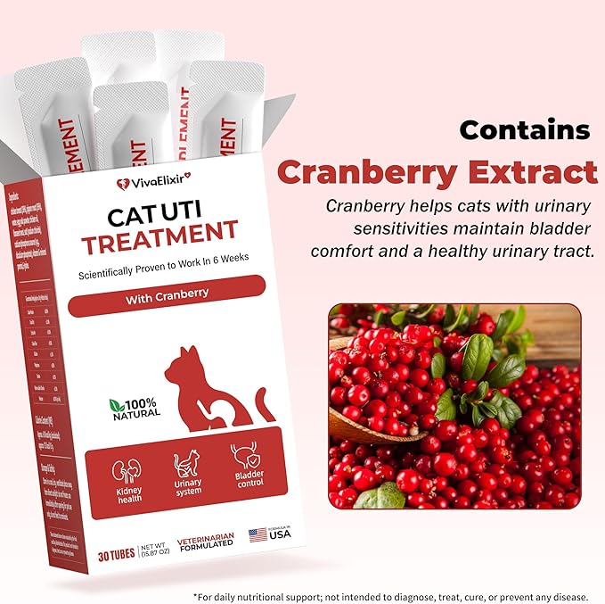 Cat UTI Treatment & Kidney Nutrition Supplement | Cranberry Powder for Cats | Low in Phosphorus & Salt | Supports Urinary Health | Easily Absorbed Protein | Suitable for Picky Cats - Bars 12g x 30