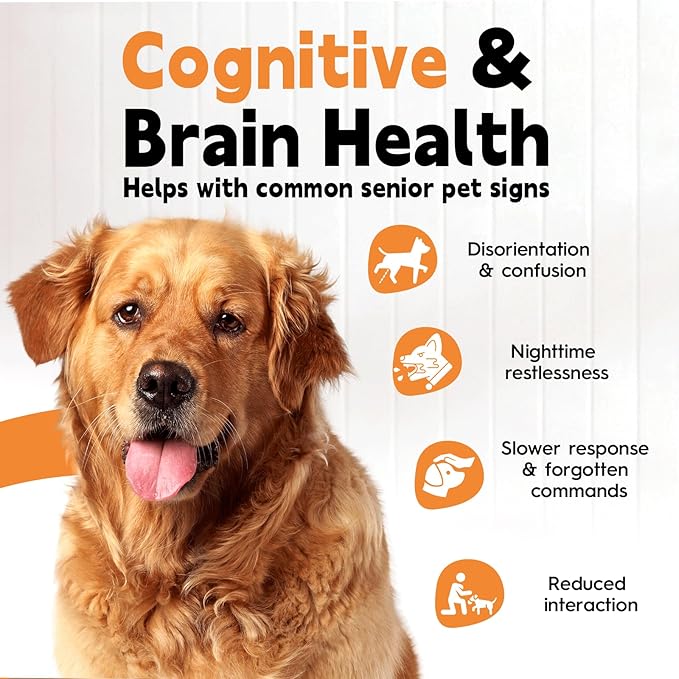 Pet Ginkgo Brain & Heart Support Drops, for Dogs & Cats: Cognitive & Memory Support, Blood Pressure, Cholesterol, Fights Mental Fog, with Curcumin & Lecithin & Multivitamins ﻿