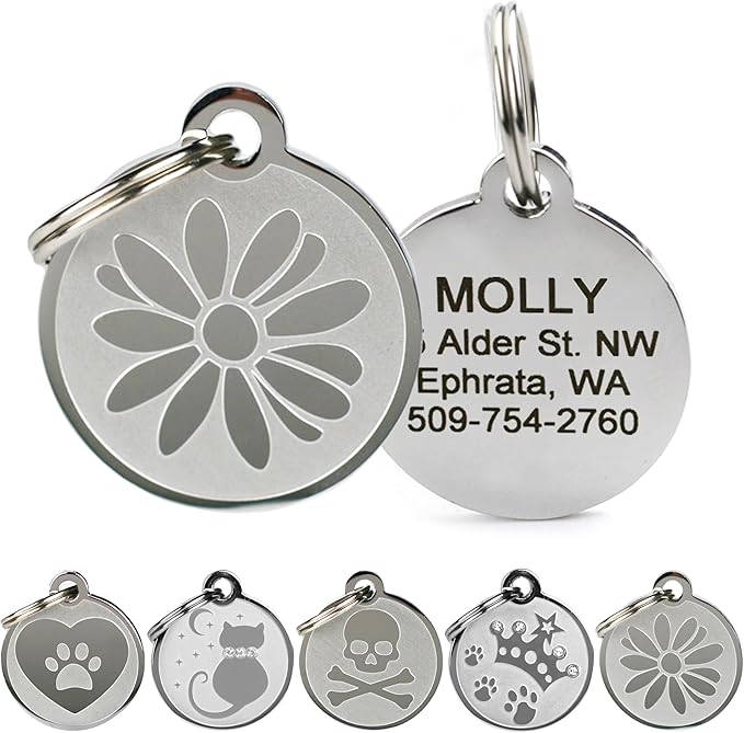 GoTags Playful, Custom Engraved Pet ID Tags, Solid Stainless Steel, Personalized Dog and Cat Pet ID with up to 4 Lines of Text, Cute, Durable and Long-Lasting