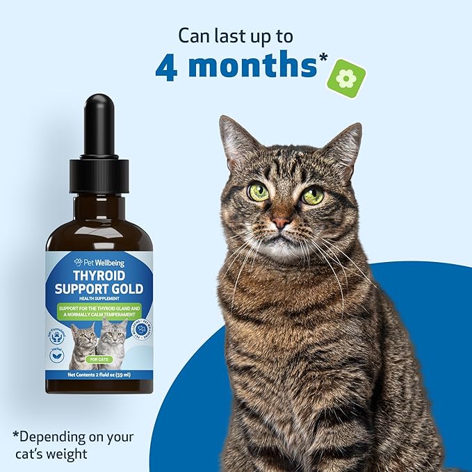 Pet Wellbeing Thyroid Support Gold for Cats - Holistic Thyroid Balance with Bugleweed & Lemon Balm, Feline Metabolic Health Supplement - NASC Certified & Vet-Formulated - 2 oz Liquid Formula