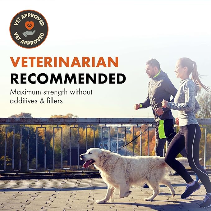 Shield Allergy Immune Support Supplement for Dogs by Alpha Dog Nutrition - 7 Nutritional Mushroom Powder Complex + Vitamin C to Boost Immunity - Up to 60 Servings for Small Breed Dogs, 54g