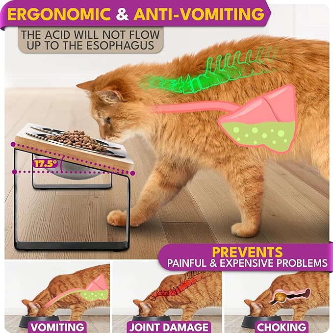 Raised cat Bowls for Indoor Cats by WinTruffles, Elevated cat Bowls with Cat Food Mat, Tilted and Elevated Anti Vomiting Cat Dishes for Food and Water, Set of 2 Stainless Steel Bowl with Silicone Mat