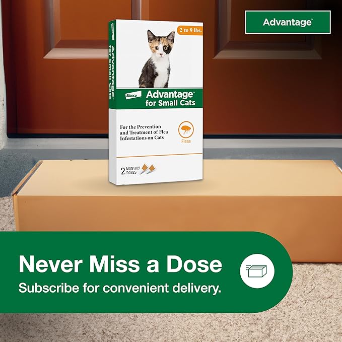 Advantage Topical Cat Flea Treatment and Prevention for Small Cats 2-9 lbs. | Apply Flea Drops Monthly | 4 Treatments (Pack of 2)