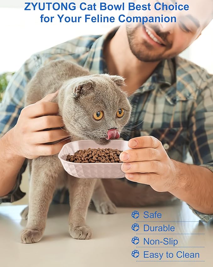 6-Pack Cat Food Bowls, Whisker Fatigue Cat Dishes for Food, Cute Kitten Bowl with Non-Slip Feet, 5.5" Flat Kitten Bowls for Wet Food, Small Plates for Indoor Cats