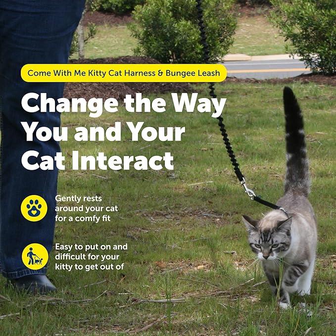PetSafe Come With Me Kitty Cat Harness & Bungee Leash - Comfortable Cat Harness with Lightweight Bungee Leash for Outdoor Fun - More Secure Walks - Small - Royal Blue