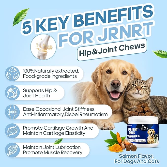 Dog Hip and Joint Supplement – Glucosamine Chondroitin Turmeric MSM Omega 3 – Dog Joint Supplement & Mobility Support for Large Breed, Senior & Active Dogs and Cats