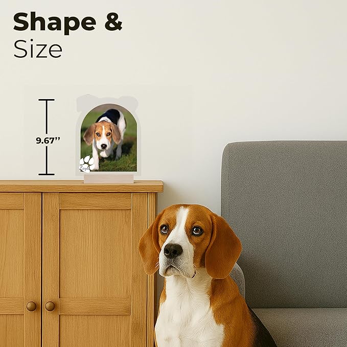 EGD Customized Gifts for Dog Memory Gifts | Personalized Picture Frame for Dog Lover Gift with Name & Picture | Loss of Pet Sympathy Gift Dog | Dog Birthday Gift | Pet Portrait Display (B. Dog)