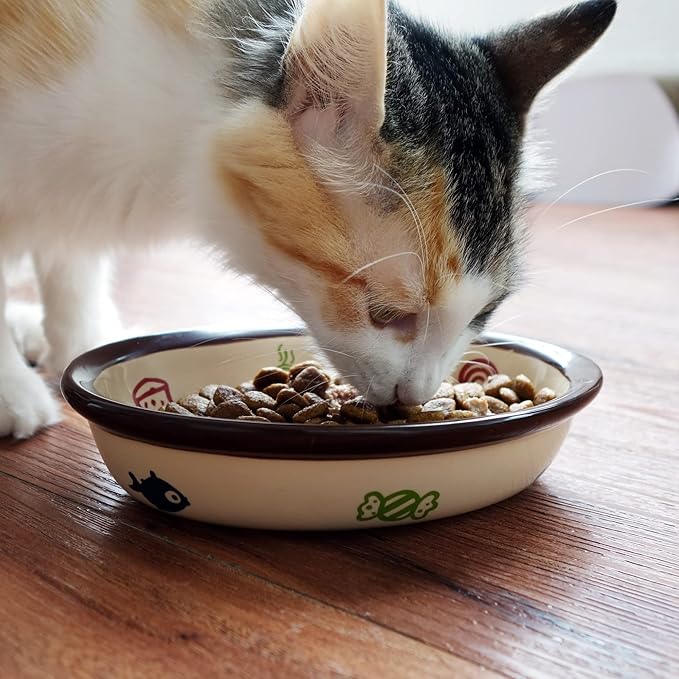 TTCAT Oval Ceramic Cat Food Bowl,Cute Dish,Small Pet Feeding Dishes for Cat,Kitten,Dishwasher Safe.