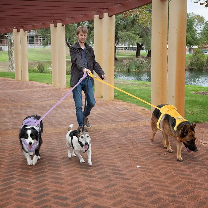 No Pull Lightweight Dog Harness: Adjustable Durable Breathable Mesh Pet Vest Harness with Soft & Comfortable Cushion, for Small Medium Large Dogs (XS, Butter Yellow)