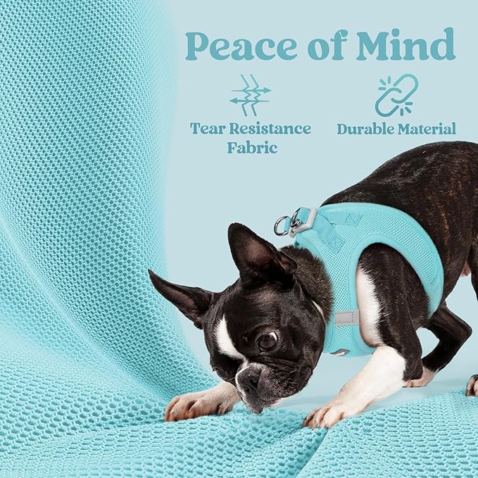 rabbitgoo Small Dog Harness, Step-in Soft Mesh Puppy Vest with Safety Buckle, Breathable Reflective Pet Harness for Small Sized Dogs, Mint Blue XS