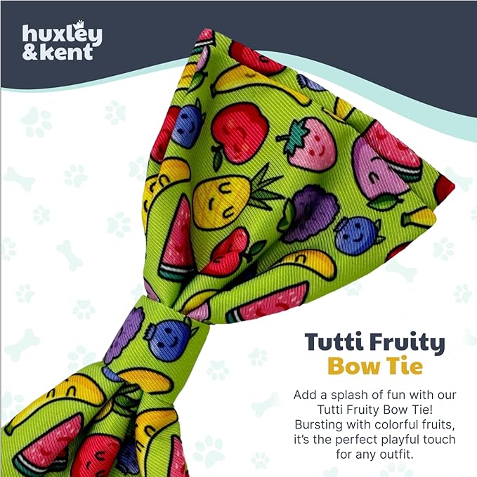 Huxley & Kent Pet Bow Tie for Dogs & Cats - Adjustable Hook & Loop Collar Accessory - Cute & Comfortable for Holidays & Celebrations - Tutti Fruity, Small