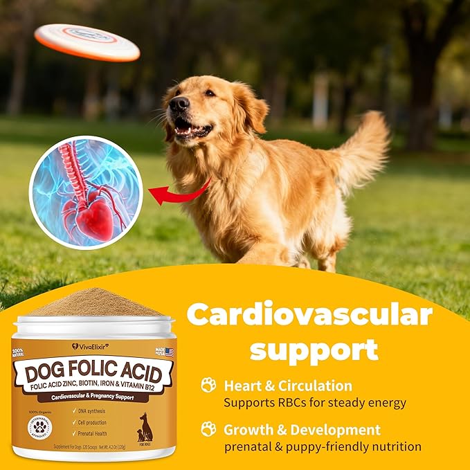 Heart Support Supplement for Dogs Aids B12& Folate Circulatory Strength, Antioxidant Cardiovascular Support, Heart Muscle Function Support DNA Synthesis & Seeking Health Prenatal 4.2oz Powder