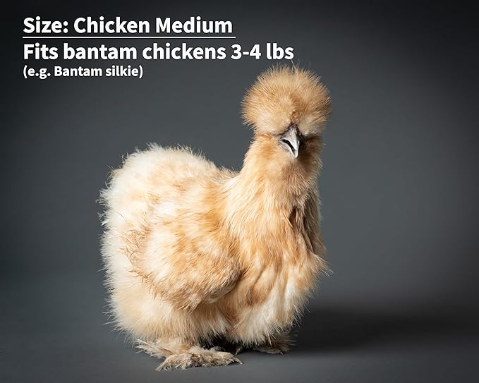 Chicken Diapers Duck Diaper Diaperalls for Hens, Roosters, Ducks, Ducklings - Reusable, Adjustable by Uni Infinity (Black Floral, Chicken Medium, 1, Count)