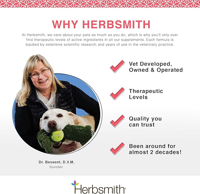 Herbsmith Senior Dog Wisdom – Dog Dementia Supplement – DHA for Senior Dog Brain Health - Senior Supplement for Dogs- 75g