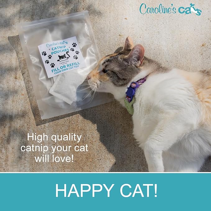 Caroline's Cats Organic Catnip Packets for Cat Toys – Refill Pouches for Flapping Bird, Flopping Fish, and More, 10 Tea Bags