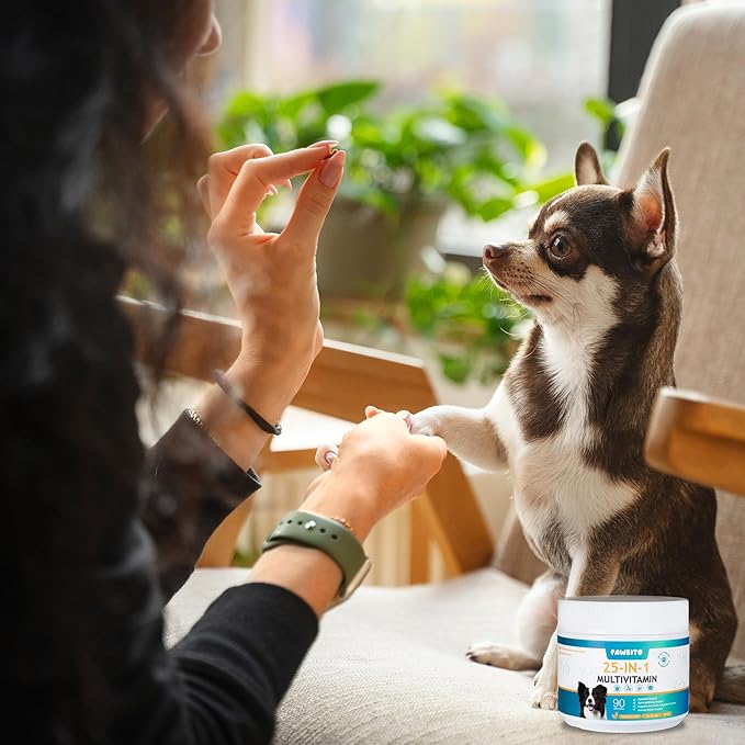 Dog Multivitamin Chews – 25-in-1 Daily Complete Nutrition Soft Chews with Vitamins, Minerals, Probiotics, Salmon Oil & Digestive Enzymes for Overall Wellness