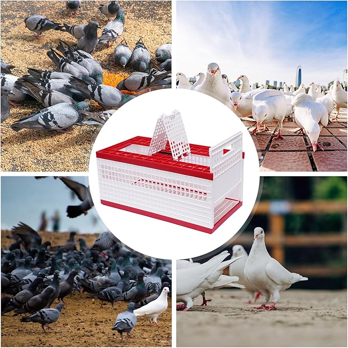 Plastic Transportation Pigeon Cage, 23.62x12.2x10.24 inches Large Space Foldable Pigeon Cage, Racing Pigeon Carrier Box with Handle, Portable Bird Travel Nest Box for Courtyard, Balcony, Lawn