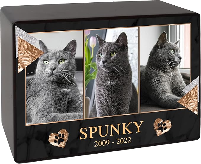 Custom Pet Keepsake Urns for Cats, Wooden Box for Pet Ashes with Photo for Your Beloved Pets, Pet Cremation Urns as Sympathy Gifts for Pet Lovers - Small, 6" x 4" x 2.75" Pet Urn (Spunky)