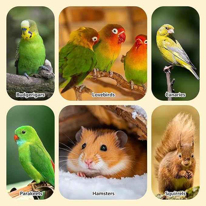 Fhiny 2 PCS Parakeet Treats Natural Cockatiel Food Grain & Vegetable Flavored Parrot Snack Sticks Bird Treats for Budgerigars Lovebirds Canaries Conurus Finches
