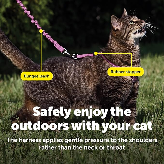 PetSafe Come With Me Kitty Cat Harness & Bungee Leash - Comfortable Cat Harness with Lightweight Bungee Leash for Outdoor Fun - More Secure Walks - Small - Dusty Rose