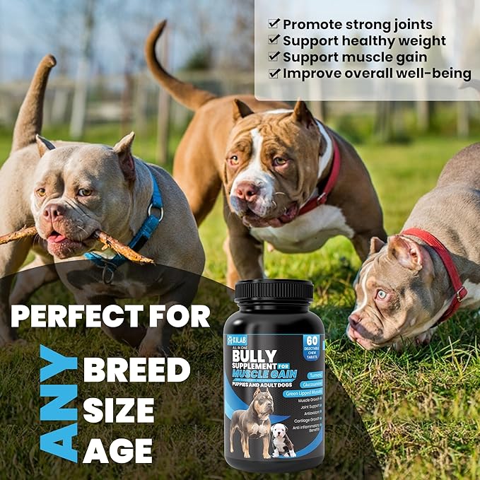 Kilab Dog Weight Gainer – 60-Count Muscle Builder Dog Supplement – Muscle Growth Supplement for Dogs, Puppies and Adults – Bully Growth Formula with Turmeric, Glucosamine, Green Lipped Mussels