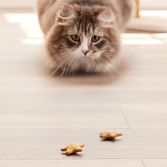 Good ‘n’ Tasty Spinning Stars Cat Treat, 1.5 Ounces, 2-in-1 Treat & Toy Made with Real Chicken, Chicken Liver & Catnip, Encourages Playfulness & Low Calorie
