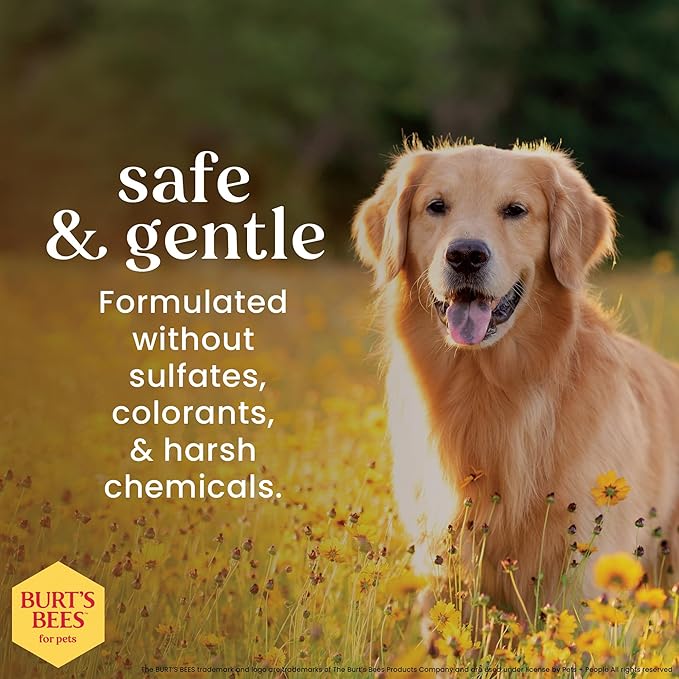Burt’s Bees for Pets Oatmeal Dog Conditioner with Honey, Moisturizing Dog Coat Conditioner for Dry and Sensitive Skin to Help Soften and Nourish Coats During Grooming, 10 Fl Oz - 6 Pack