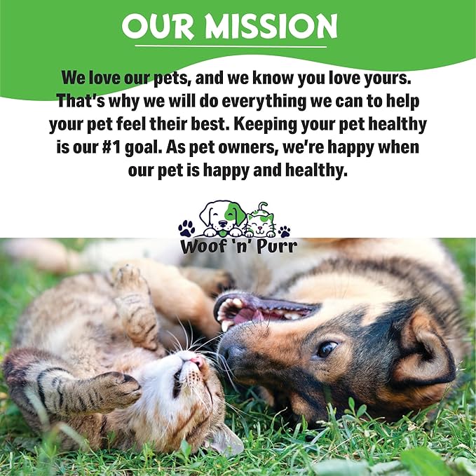 Natural Cat Ear Infection Treatment - Ear Infection Treatment for Cats - for Oral Use - May Help to Reduce Redness, Irritation, Itching & Much More - Cat Immune Support - 1 fl oz - Chicken Flavor