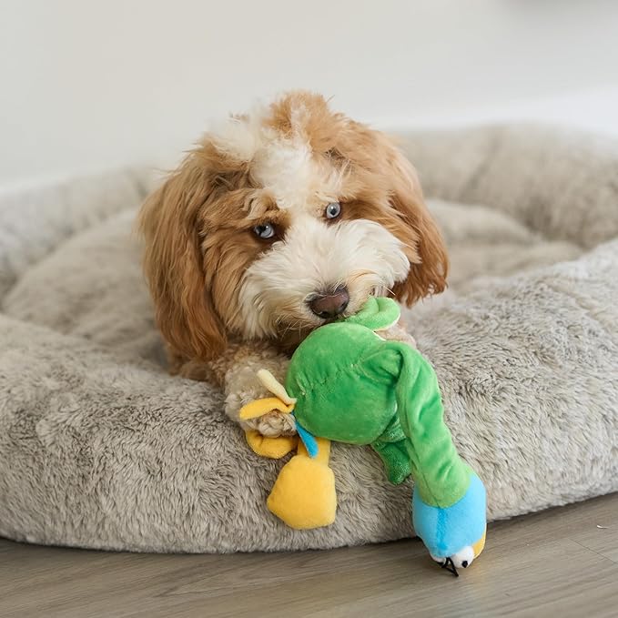 SPOT Chirpies Plush Dog Toy – Bird Sound Squeaky Toy for Small and Medium Dogs, Light to Moderate Chewers, Stretchy Bungee Neck, Recycled Stuffing – 14 in, Assorted Styles