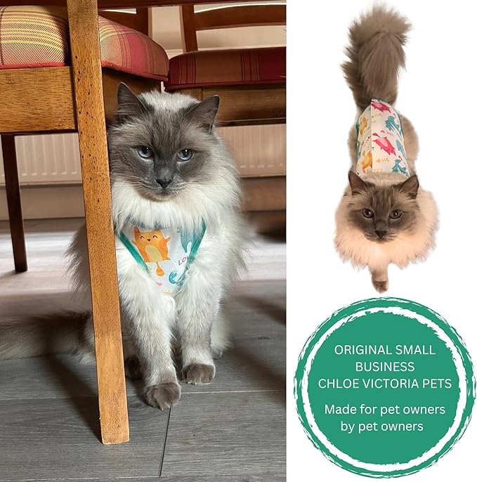 Cat Recovery Suit Surgical Onesie - Post Surgery - Soft Breathable Fabric - No-Cord Design - Protects Wounds and Skin After Spay or Neuter - Male and Female Cats | Large
