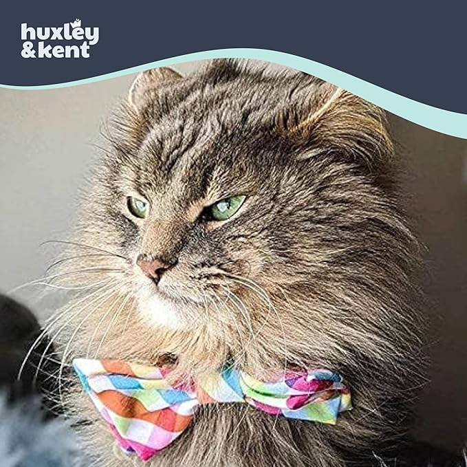 Huxley & Kent Pet Bow Tie for Dogs & Cats - Adjustable Hook & Loop Collar Accessory - Cute & Comfortable for Holidays & Celebrations - Yellow/Orange Check, Small