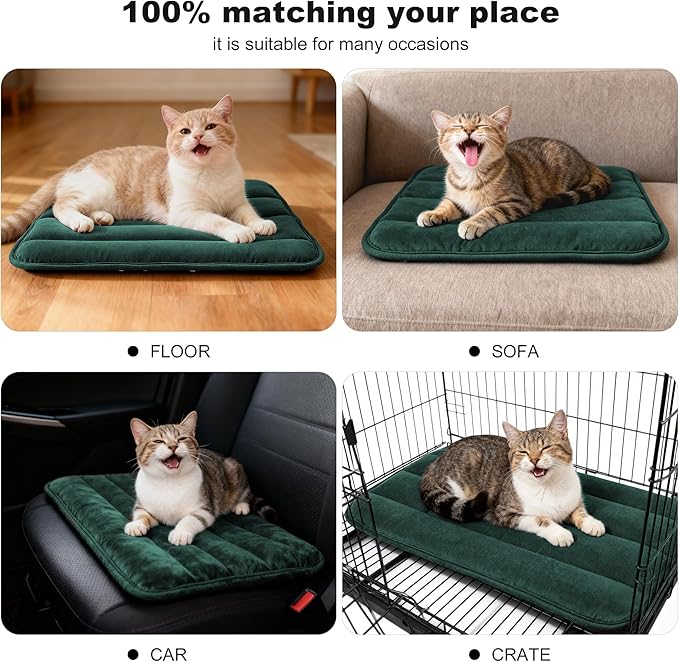 Dog Crate Pad, Ultra Soft & Anti-Slip Kennel Mat, Secure Fit for Metal Crates & Dog Cages, Washable Cozy Bed for Small Medium Large Dogs (Green, XS(18"*12"*1.5"))
