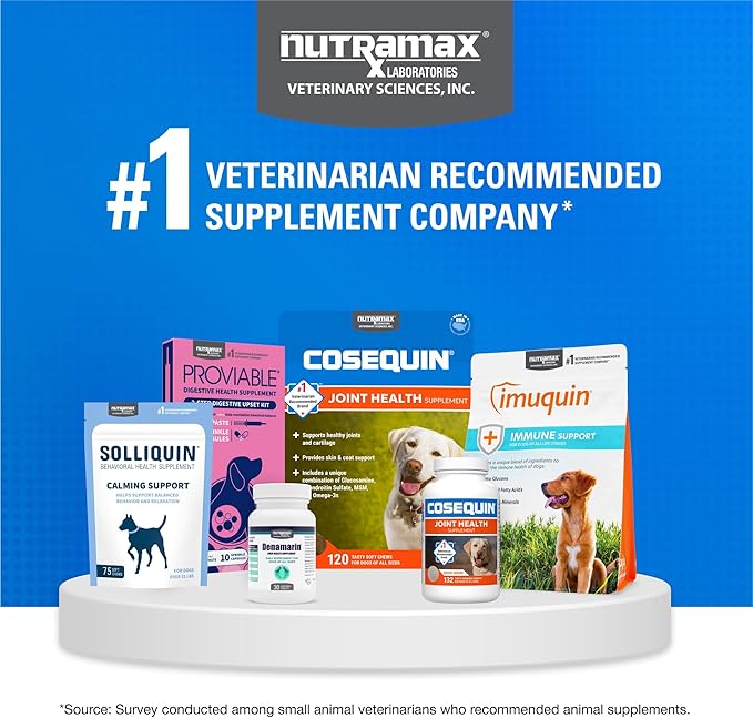 Nutramax Cosequin for Dogs Joint Health Supplement, Contains Glucosamine for Dogs, Plus Chondroitin, Supports Healthy Joints, Chewable Tablets, 132 Count