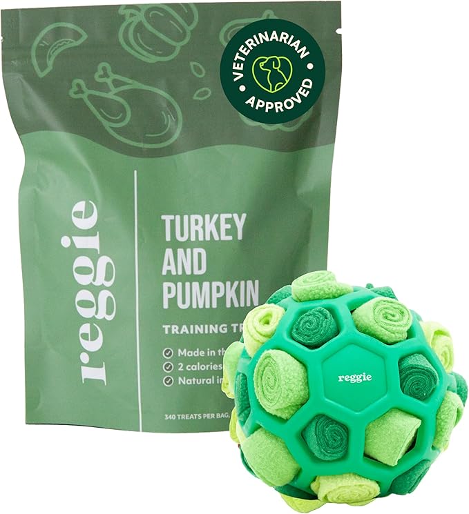 Reggie Dog Training Treats with Enrichment Toy | Turkey & Pumpkin Dog Treats + Forager Ball | Low-Calorie High-Protein Rewards | Mental Stimulation for Dogs | 340 Treats