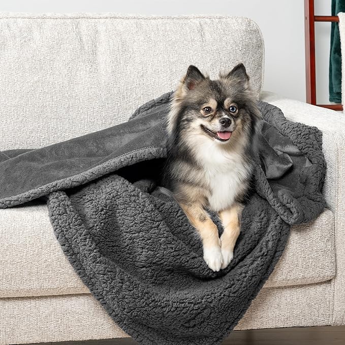 PetAmi Waterproof Dog Blanket for Small Medium Dog Puppy Cat Throw for Couch Cover Leakproof Protection, Sherpa Fleece, Reversible Soft Washable 29x40 Gray Gray