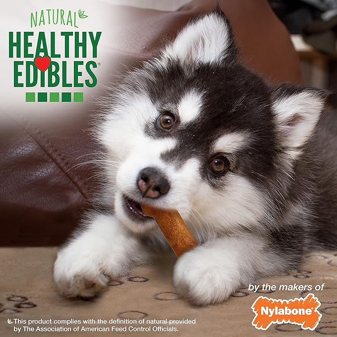 Nylabone Healthy Edibles Natural Puppy Chews Long Lasting Treats for Puppies, Turkey & Sweet Potato Flavor, Small/Regular (3 Count)