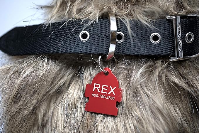Providence Engraving Pet ID Tags in 8 Shapes, 9 Colors, and Two Sizes - Personalized Dog and Cat Tags with 4 Lines of Customizable Text