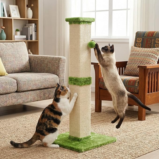 Indoor Cat Scratching Post: 32 In Tall Cat Scratcher with Natural Sisal Rope, Kitty Pet Tower with Sturdy Wood Base and Hanging Ball Toy, Great Gift for Small and Large kittens, LIght Green