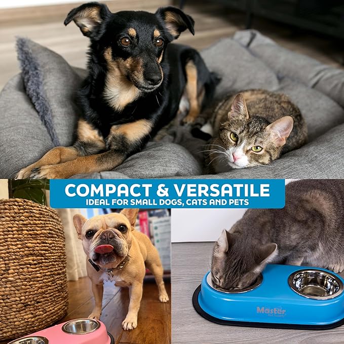 Master Pet Supply Double Dog Bowls Set with Elevated Base and 2 (8 oz) Stainless Steel Removable Dishes (Emerald Sea) – Double Cat Food Water Bowl, Dog Puppy Food Bowl Set, Rust Resistant