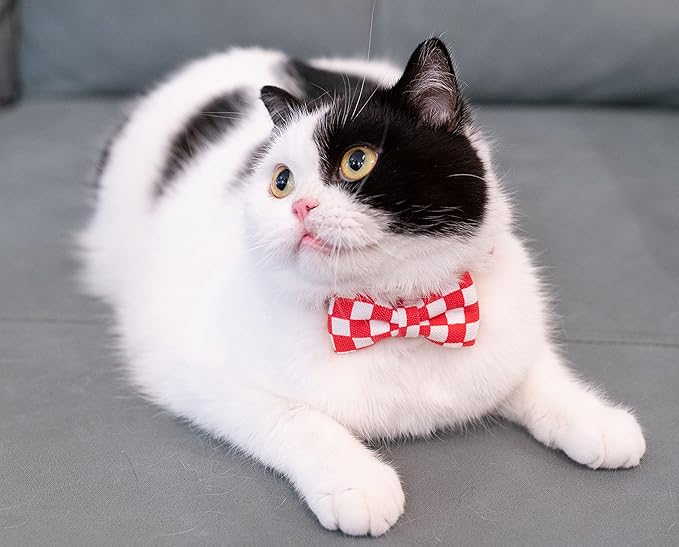 Collar for Cat Pet Breakaway with Bell Bowtie Detachable Bow Adjustable Safety Kitten Puppy Girl Boy 2pcs Plaid & Solid-Red